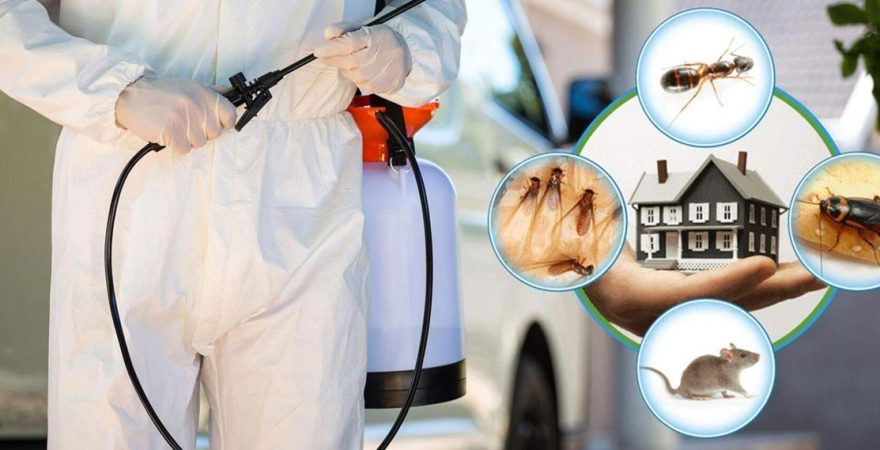 Bolvadin Böcek İlaçlama