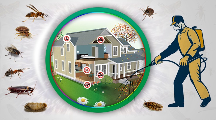 Bolvadin Böcek İlaçlama