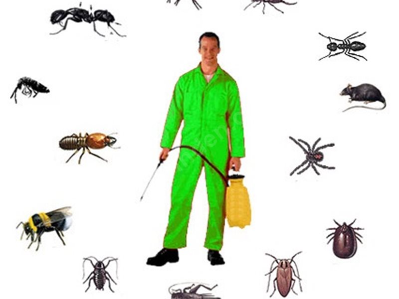 Bolvadin Böcek İlaçlama